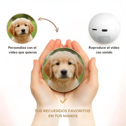 Esfera de video con recuerdos de tu mascota